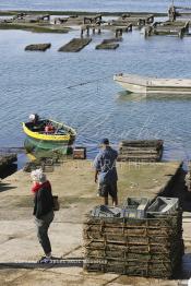 Image du Maroc Professionnelle de  Des touristes débarquent après un tour en barque chez les ostréiculteurs de l'Oualidia, paisible station balnéaire aux nombreuses plages de sable fin sur le littorale marocain entre Safi et El Jadida, Dimanche 12 Novembre 2006. Ce site est réputés par sa lagune de 12 Km avec sa production d’environ 200 tonnes d’huitre par an qui fait la fierté des habitants et des nombreux ostréiculteurs installés sur les berges -ce sont les meilleurs du monde affirment-ils- aussi les huîtres de Oualidia sont très prisé partout au Maroc. (Photo / Abdeljalil Bounhar)


